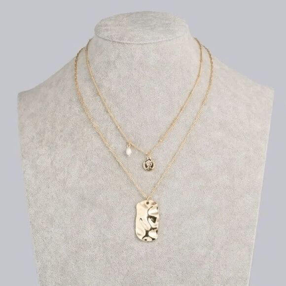 Elizabeth Besich Jewelry - 2/$21 Ladies Fashionable Layered Necklace